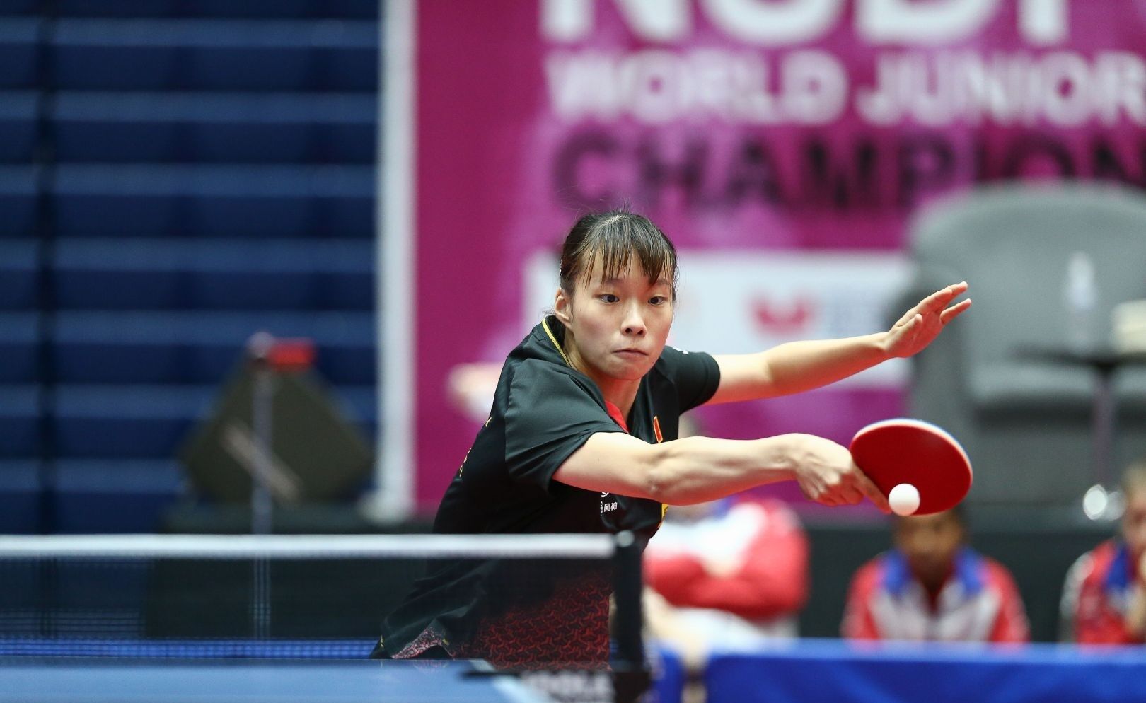 加斯佩里尼 加斯佩里尼