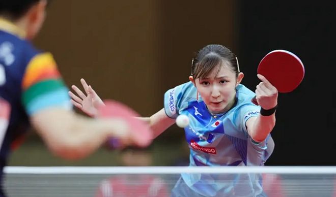 选手提供了 选手提供了